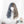 Load image into Gallery viewer, lolita style mixed color curly wig yc23401