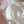 Load image into Gallery viewer, lolita cute cat bra set yc23180