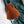 Load image into Gallery viewer, Japanese cute knit hat yc20498