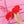 Load image into Gallery viewer, Harajuku Love Glasses yc21005