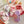Load image into Gallery viewer, Cute sweet style summer socks yc23334