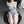 Load image into Gallery viewer, Sexy cos pajamas suit YC24081