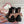 Load image into Gallery viewer, Pink Bow Martin Boots yc24832