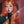 Load image into Gallery viewer, Lolita orange curly wig YC23880