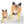 Load image into Gallery viewer, Harajuku Fashion Orange Yellow Gradient Wig yc23558