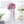 Load image into Gallery viewer, Harajuku lolita gradient curly wig yc23353