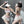 Load image into Gallery viewer, Sexy cat cosply costume YC24034