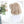 Load image into Gallery viewer, Harajuku Lolita Curly Wig yc20742