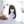 Load image into Gallery viewer, Lolita Harajuku COS wig yc20543