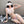 Load image into Gallery viewer, Sexy uniform underwear yc23037