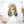 Load image into Gallery viewer, Lolita grey mix color wig YC23900