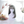 Load image into Gallery viewer, Lolita Harajuku COS wig yc20543