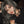 Load image into Gallery viewer, Lolita wig (gift Hair net) YC2503