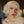 Load image into Gallery viewer, Milky White Air Bangs Wig YV4004