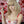 Load image into Gallery viewer, Harajuku Lolita wig (gift Hair net) YC2501