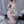 Load image into Gallery viewer, Sexy transparent nightdress yc23061