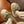 Load image into Gallery viewer, CUTE COTTON SLIPPERS yc83028