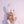 Load image into Gallery viewer, Cute rabbit ears cos headdress yc23191