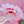 Load image into Gallery viewer, Lolita Fashion Sweet Feather Fan yc23604