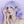 Load image into Gallery viewer, Harajuku Lolita Gradient Curly Wig yc20741