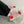 Load image into Gallery viewer, ulzzang high-top canvas shoes yc23592