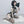 Load image into Gallery viewer, Sexy cheongsam pajamas set yc23116