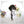 Load image into Gallery viewer, lolita brown long curly wig yc22834