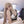 Load image into Gallery viewer, Harajuku style cosplay wig YC21291
