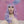 Load image into Gallery viewer, Harajuku blue purple wig YC21800
