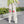 Load image into Gallery viewer, Japanese cartoon pants yc23837