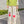 Load image into Gallery viewer, Japanese cartoon pants yc23837