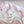 Load image into Gallery viewer, Pink cat claw canvas shoes yc22358