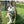 Load image into Gallery viewer, MARY JANE LEATHER SHOES YC82842