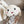 Load image into Gallery viewer, Cute dog crossbody bag yc22921