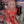 Load image into Gallery viewer, Neon Genesis Evangelion cosplay costume yc23522
