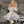 Load image into Gallery viewer, Dark lace princess dress yc50183