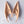 Load image into Gallery viewer, Cos Elf Ears yc23821