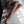 Load image into Gallery viewer, Sexy lace socks YC24434
