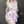 Load image into Gallery viewer, Sexy lingerie set YC21914