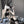 Load image into Gallery viewer, Sexy bundled lace maid outfit YC22086