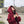 Load image into Gallery viewer, lolita woolen coat yc50238