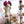 Load image into Gallery viewer, Lolita Jellyfish Head Curly Wig yc50143