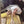 Load image into Gallery viewer, Cute animal hat YC21715