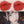 Load image into Gallery viewer, Matte Lipstick MS1007