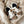 Load image into Gallery viewer, Cute cow winter slippers yc24596