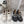 Load image into Gallery viewer, French retro leather shoes yc24631