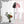 Load image into Gallery viewer, Lolita Black + Pink Wig YC24541