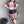 Load image into Gallery viewer, Softgirl halloween mesh set yc24771