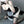 Load image into Gallery viewer, Sexy suspender skirt suit YC22118
