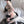 Load image into Gallery viewer, Sexy three-point underwear set YC22065